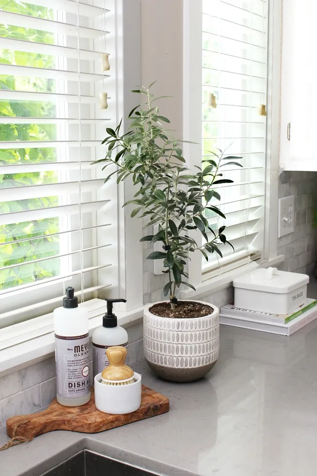 10405 summer kitchen rental 4