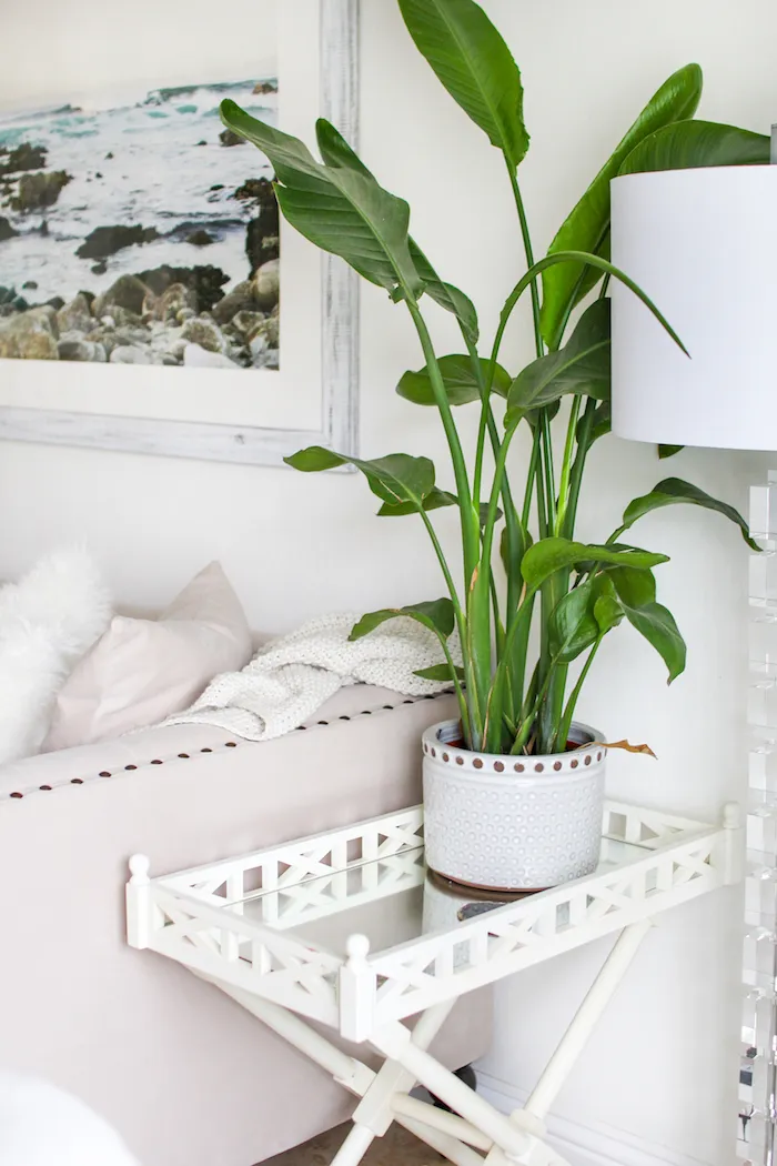 10547 kitchen minimalist