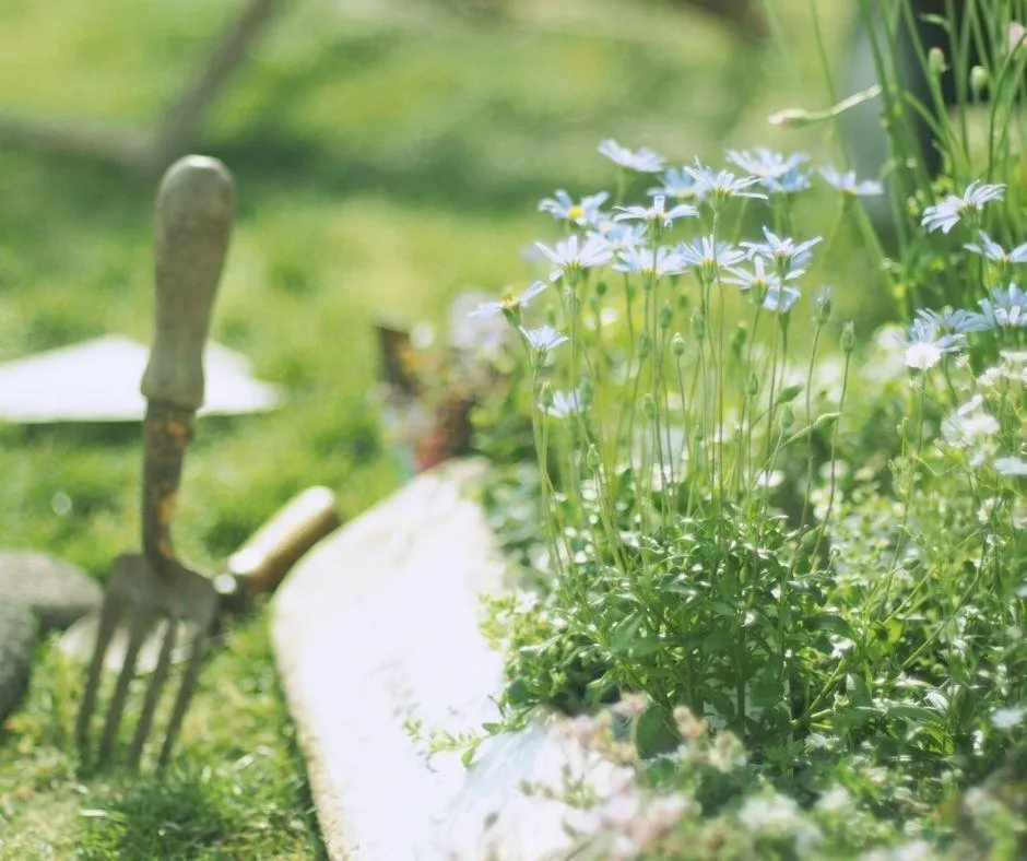 10651 red shed kitchen 4